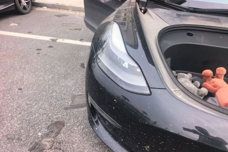 Tesla Model 3 2021 car image #8