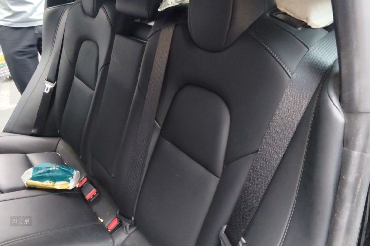 Tesla Model 3 2021 car image #19