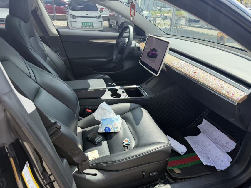 Tesla Model 3 2023 #7 Tesla Model 3 2023 car image #7