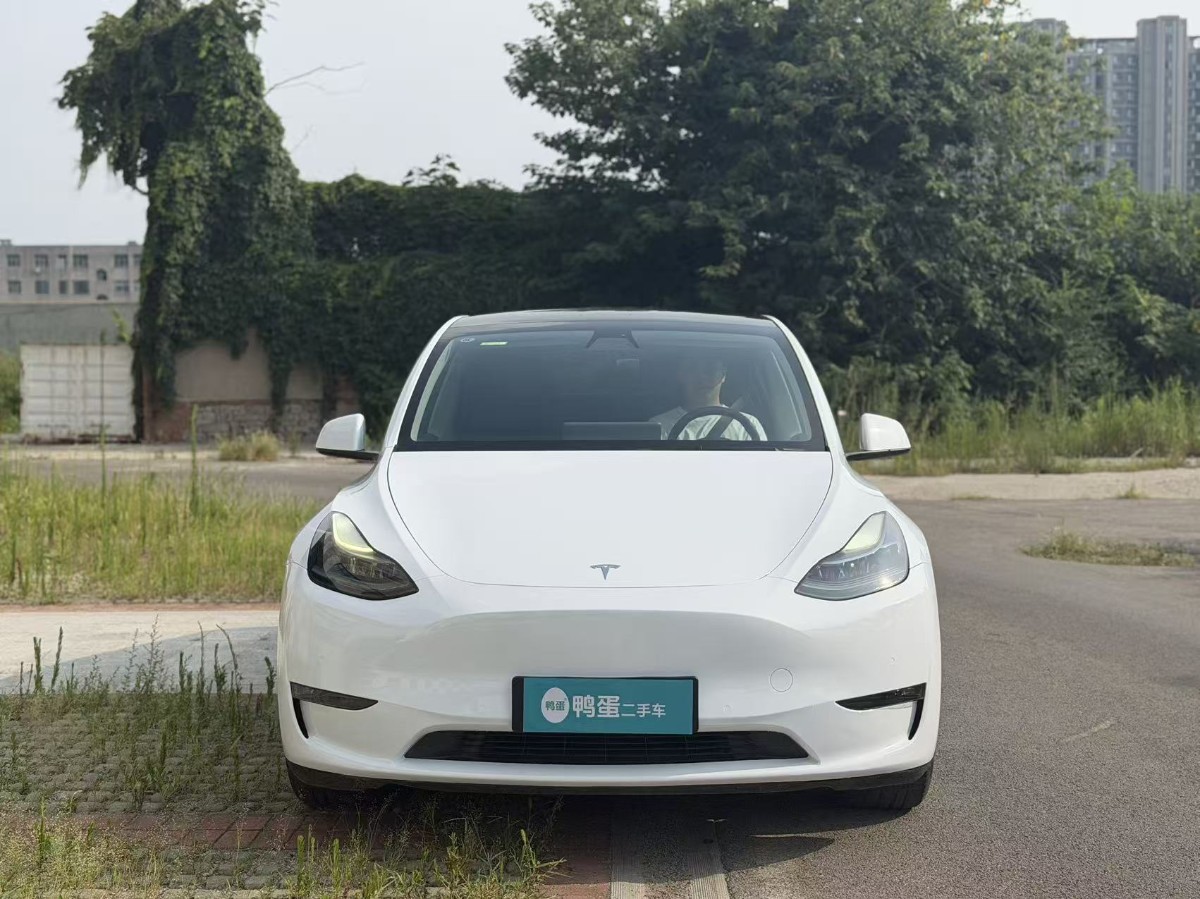 Tesla Model Y 2021 car image #2