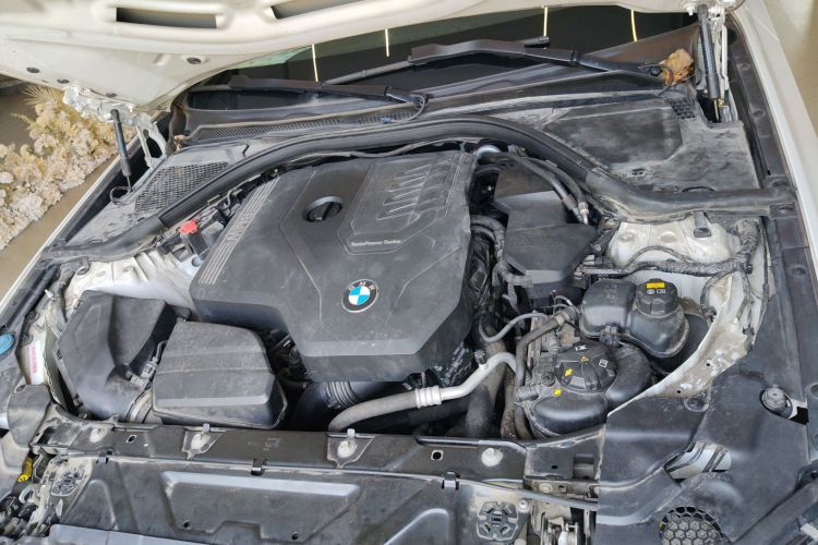 BMW 3 Series 2019 car image #20