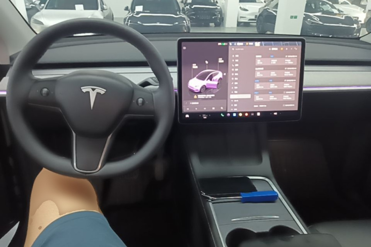 Tesla Model Y 2023 #10 Tesla Model Y 2023 immagine di auto #10