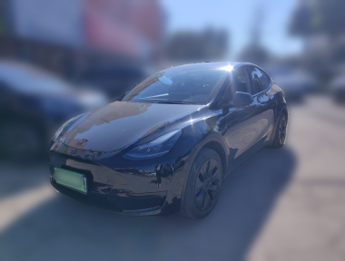 Tesla Model Y 2023 Tesla Model Y 2023 car image