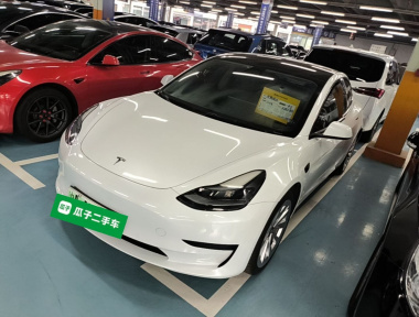Tesla Model 3 2021 Tesla Model 3 2021 immagine di auto