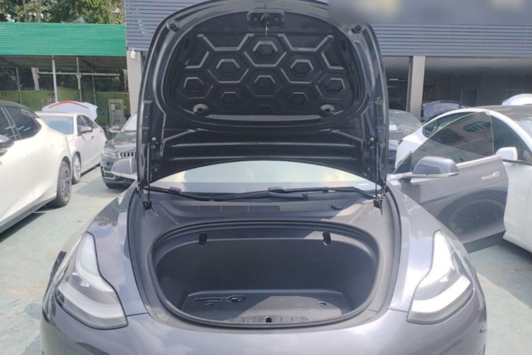 Tesla Model 3 2020 car image #20
