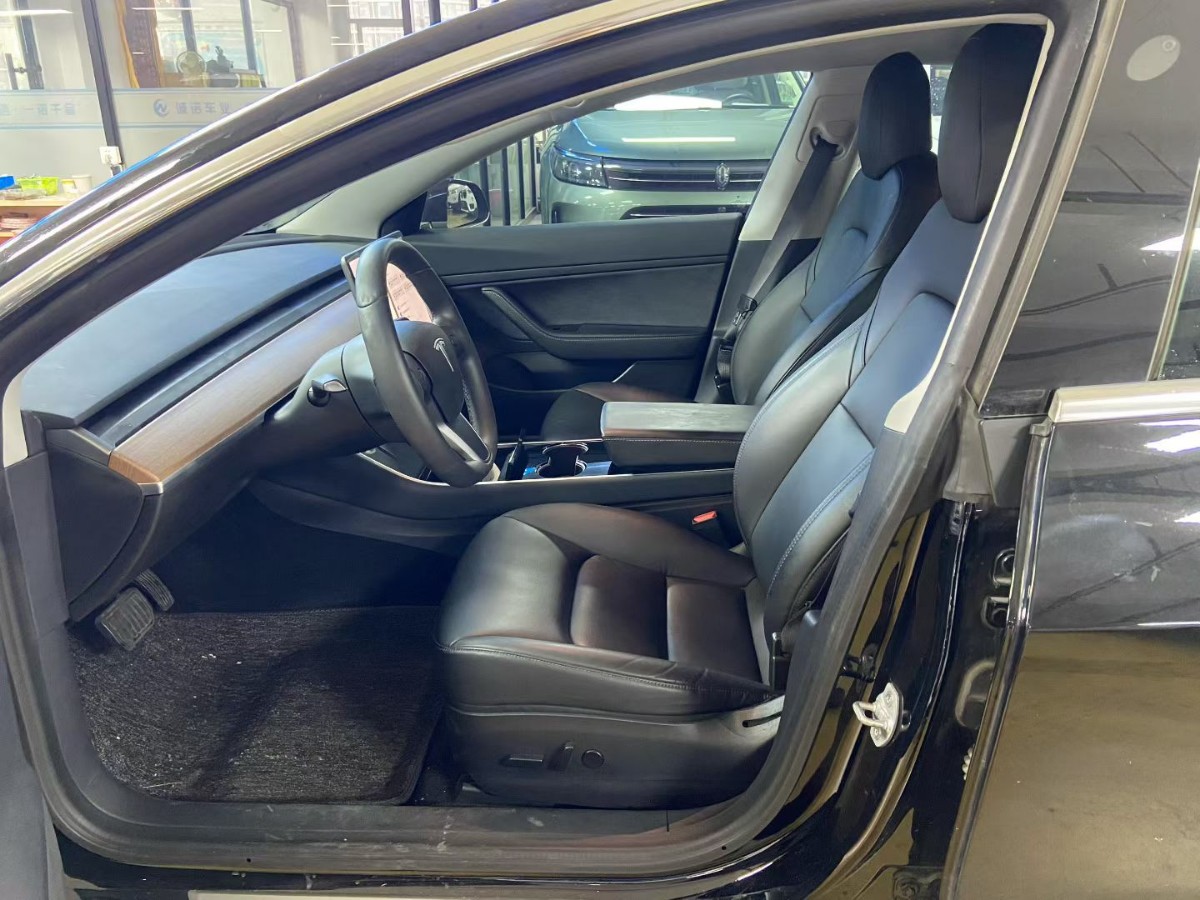Tesla Model 3 2020 car image #6