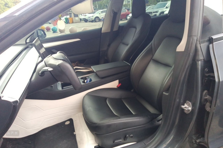 Tesla Model 3 2021 #17 Tesla Model 3 2021 car image #17