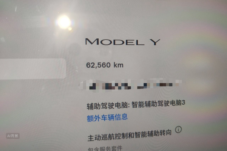Tesla Model Y 2023 car image #14
