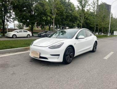 Tesla Model 3 2021 Tesla Model 3 2021 car image