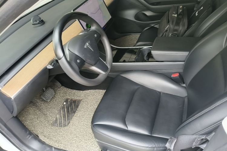 Tesla Model 3 2020 car image #15
