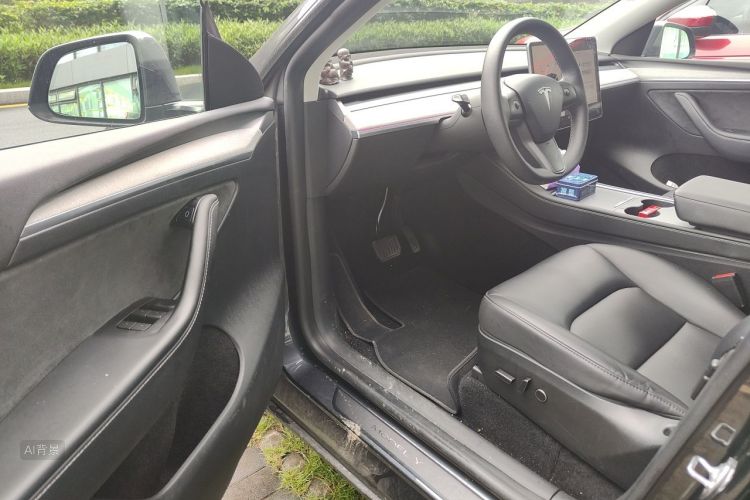 Tesla Model Y 2024 car image #18
