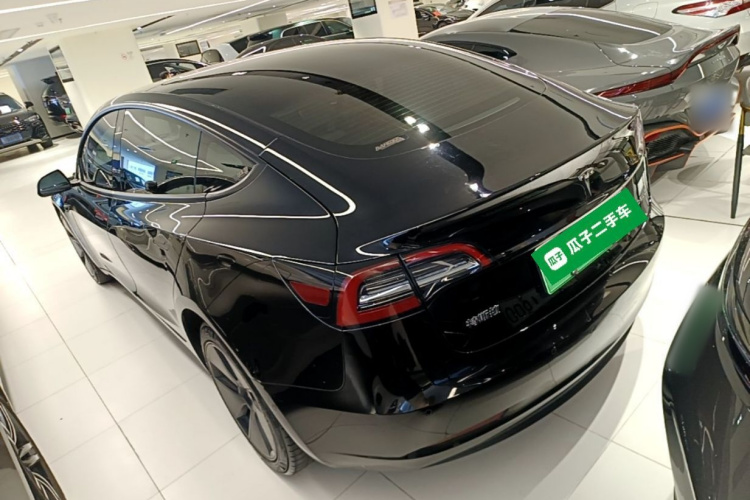 Tesla Model 3 2021 #5 Tesla Model 3 2021 car image #5