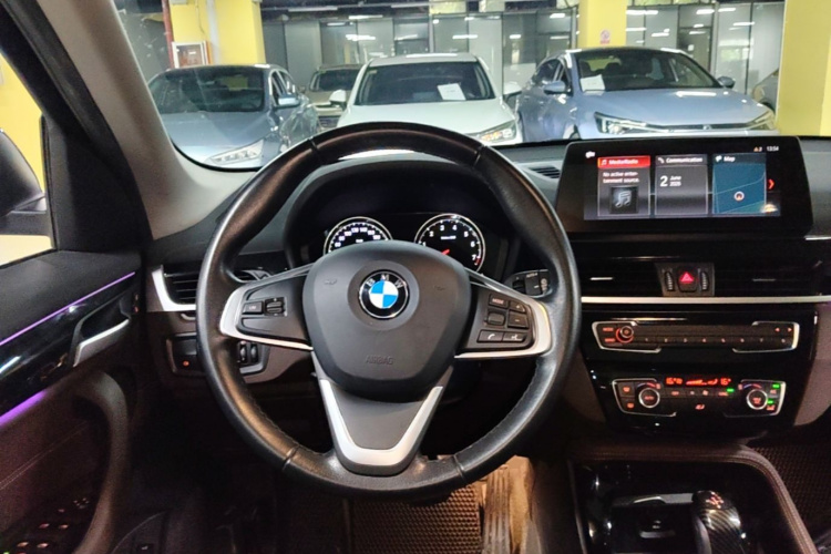 BMW X1 New Energy 2020 car image #11