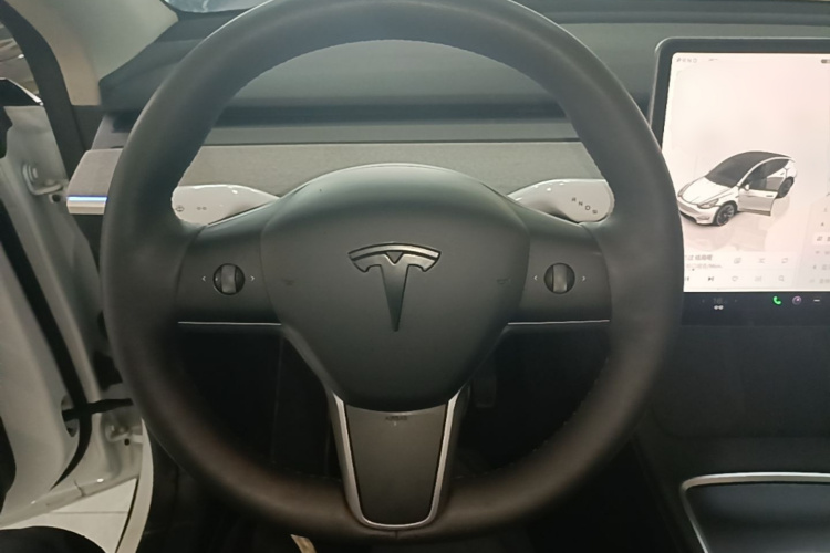 Tesla Model Y 2023 car image #11