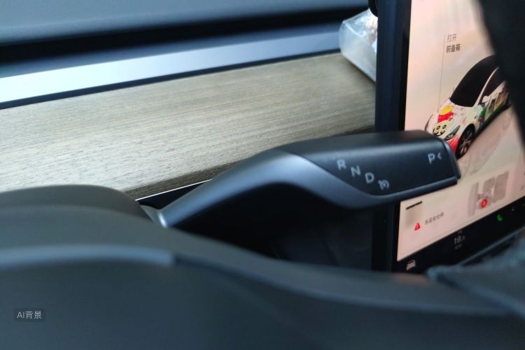 Tesla Model Y 2023 #16 Tesla Model Y 2023 car image #16
