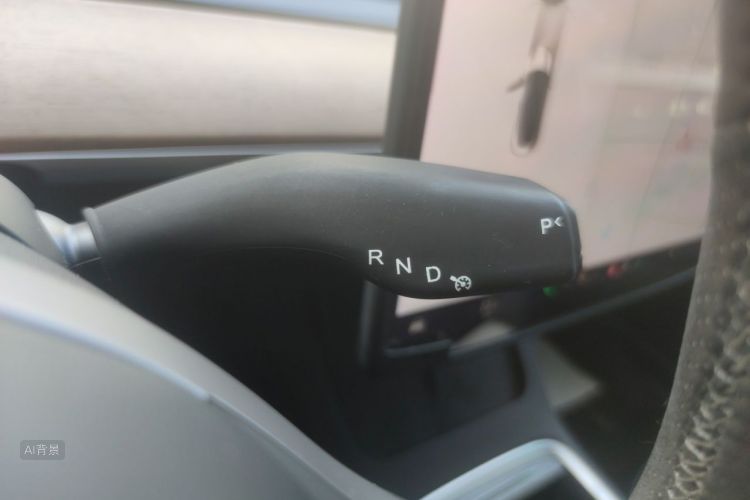 Tesla Model 3 2021 car image #16