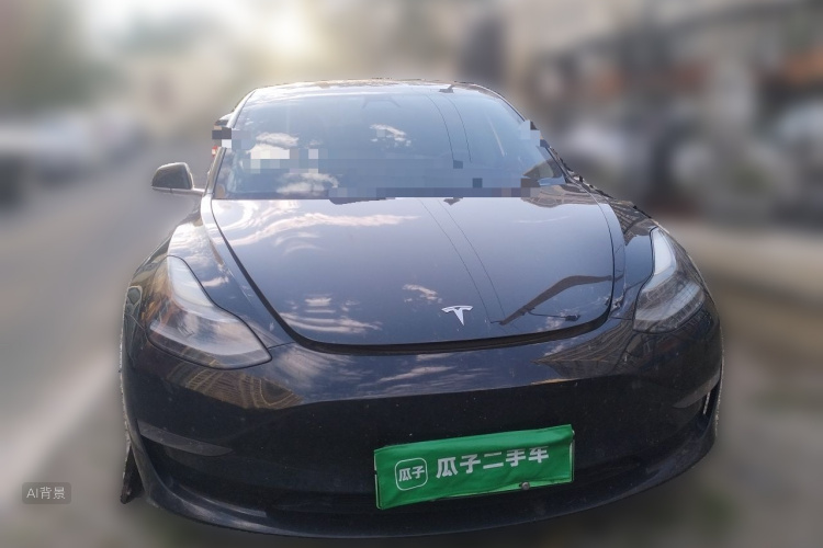 Tesla Model 3 2020 car image #3
