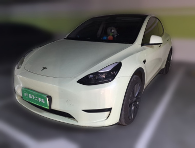 Tesla Model Y 2024 Tesla Model Y 2024 car image