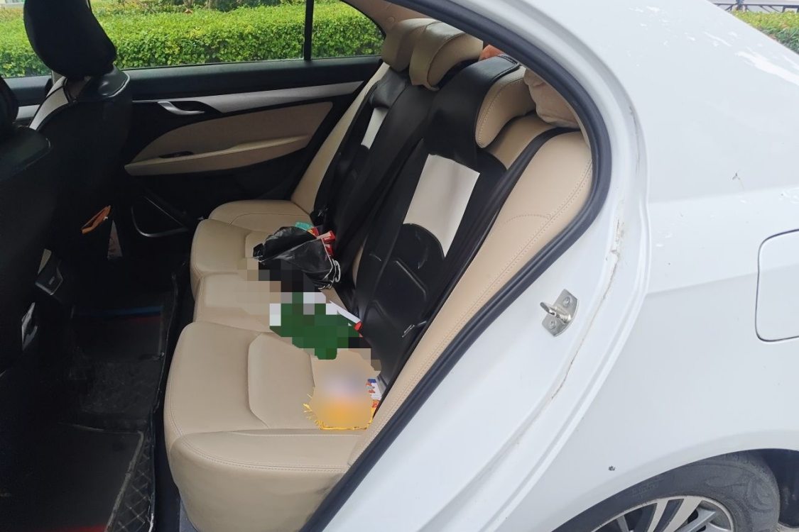 GEELY Emgrand 2018 #19 GEELY Emgrand 2018 car image #19