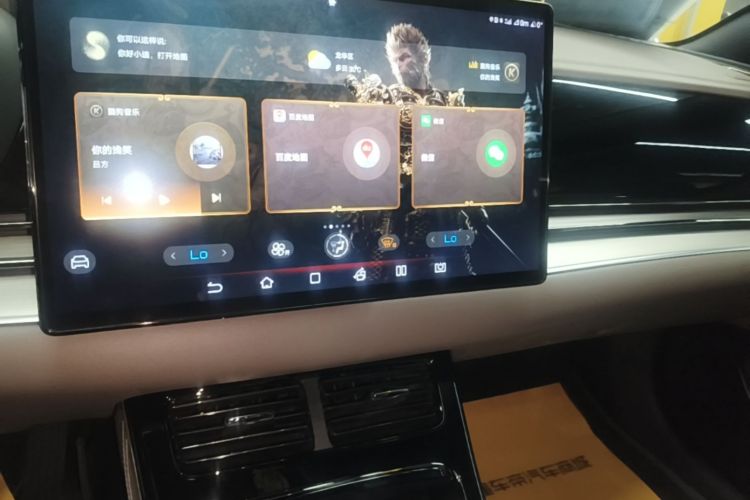 BYD Han 2022 immagine di auto #13