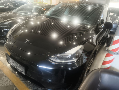 Tesla Model Y 2023 car image 