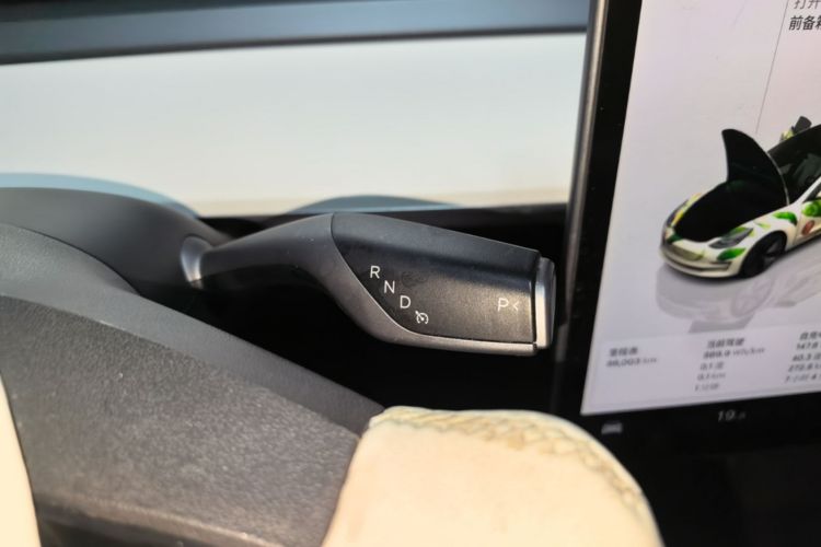 Tesla Model 3 2022 immagine di auto #14