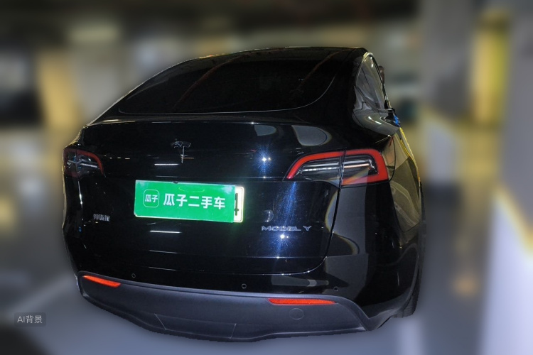 Tesla Model Y 2021 car image #6