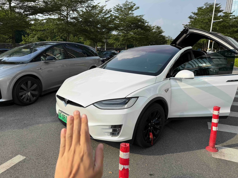 Tesla Model X 2021 car image #2