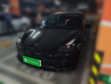 Tesla Model 3 2021 Tesla Model 3 2021 car image