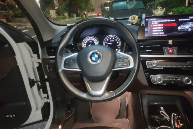 BMW X1 2021 car image #12