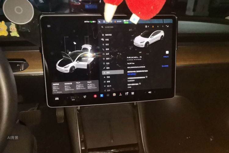 Tesla Model 3 2020 car image #15