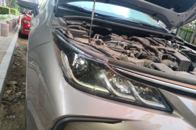 Toyota Corolla 2022 car image #8