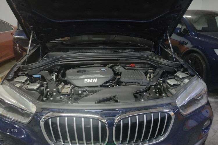 BMW X1 2017 car image #22