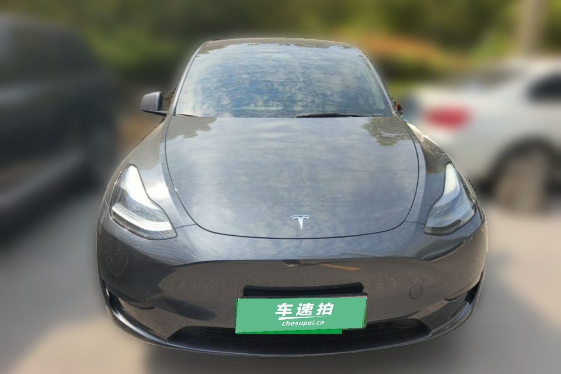 Tesla Model Y 2024 car image #5