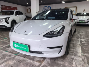 Tesla Model 3 2021 Tesla Model 3 2021 immagine di auto
