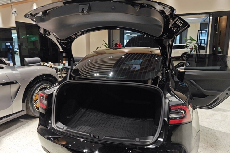 Tesla Model 3 2023 immagine di auto #19