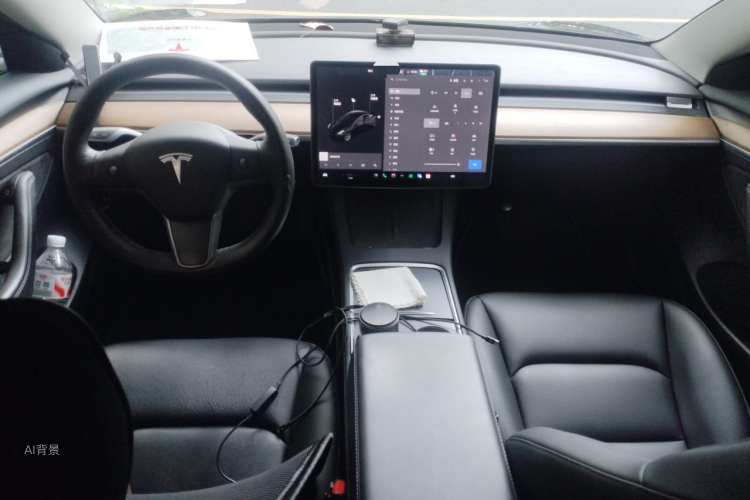 Tesla Model 3 2021 car image #11