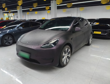 Tesla Model Y 2022 Tesla Model Y 2022 car image