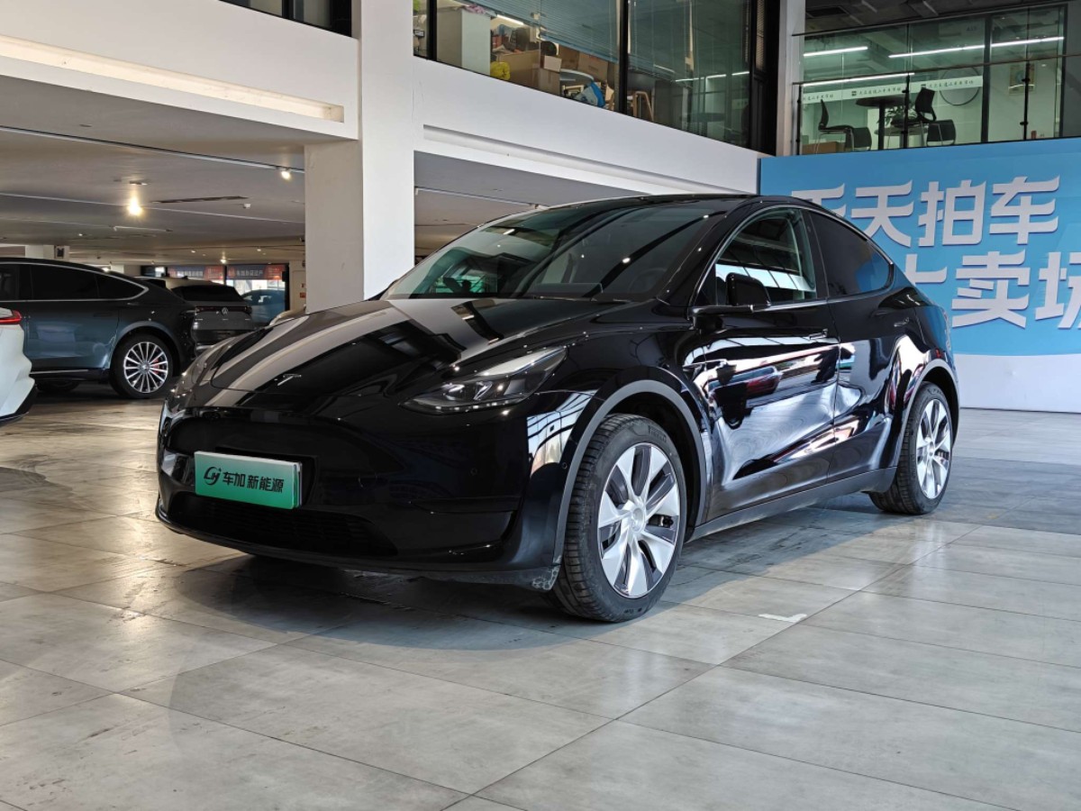 Tesla Model Y 2024 Tesla Model Y 2024 car image