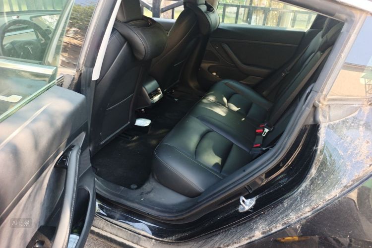 Tesla Model 3 2020 immagine di auto #19