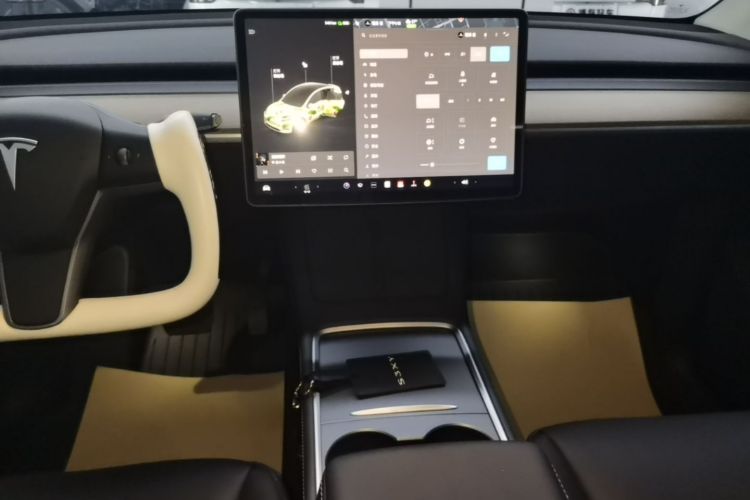 Tesla Model Y 2022 car image #13