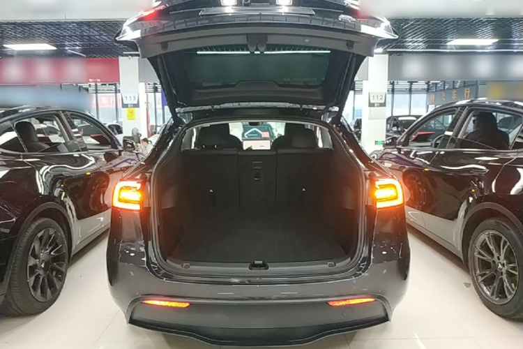 Tesla Model Y 2024 #19 Tesla Model Y 2024 car image #19