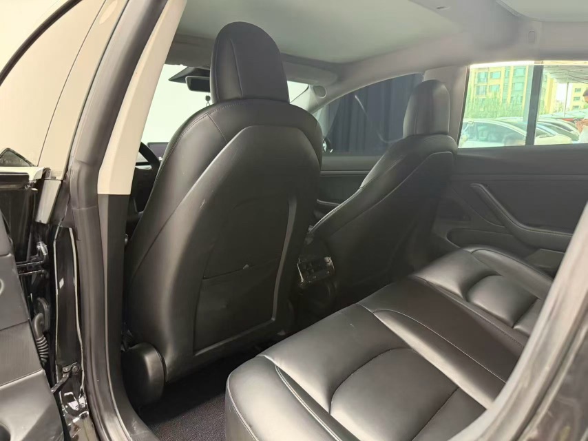 Tesla Model 3 2020 car image #6