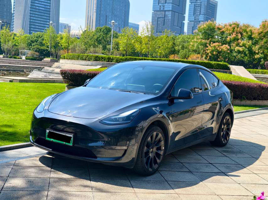 Tesla Model Y 2024 imagen de coche 