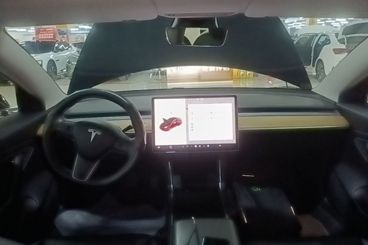 Tesla Model 3 2020 #10 Tesla Model 3 2020 car image #10