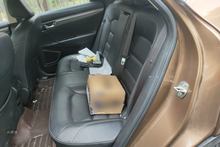 GEELY Emgrand GS 2016 car image #19