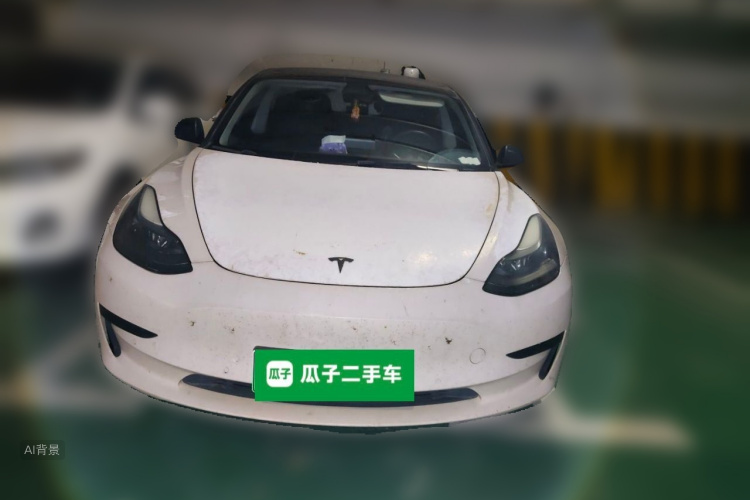 Tesla Model 3 2022 car image #3