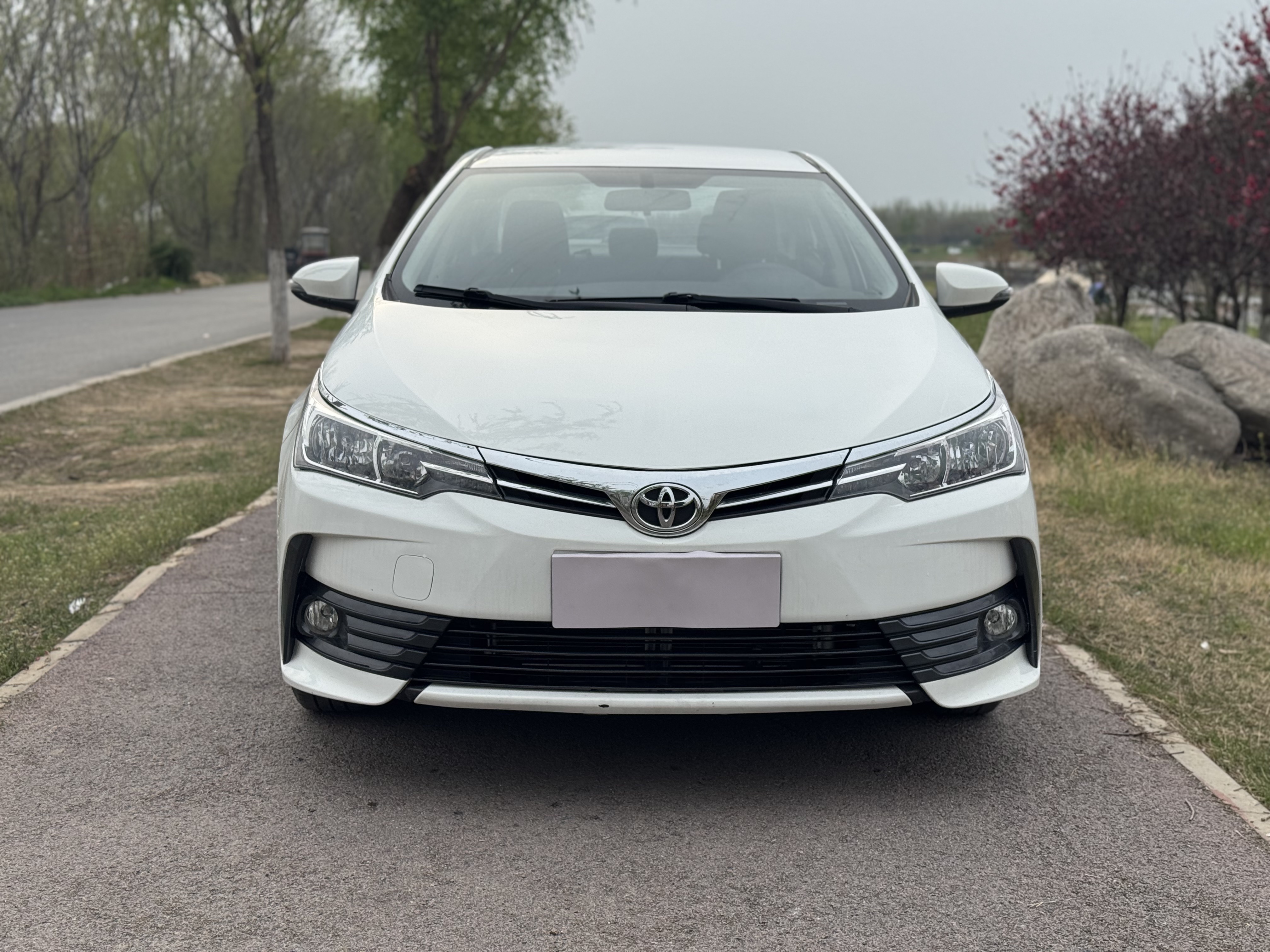 Toyota Corolla 2017 #4 Toyota Corolla 2017 car image #4