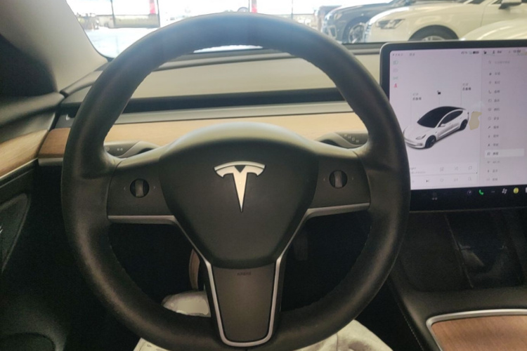 Tesla Model 3 2021 #11 Tesla Model 3 2021 car image #11