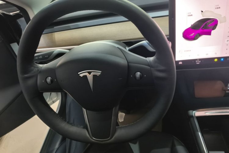 Tesla Model 3 2021 #11 Tesla Model 3 2021 car image #11